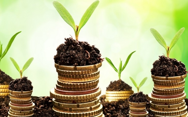 Домашние деньги дают возможность заработать на микрокредитах