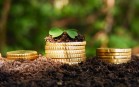 77% сельских жителей берут кредиты