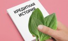 Исправление кредитной истории с помощью микрозаймов