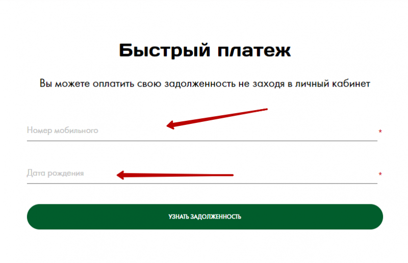 Как моментально погасить задолженность в Кнопка Деньги