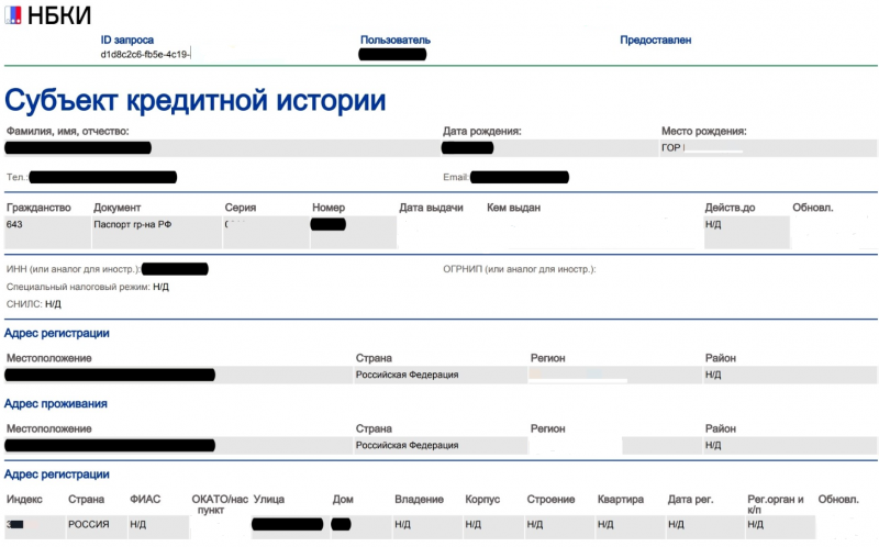 Пример отчета Национального бюро кредитных историй