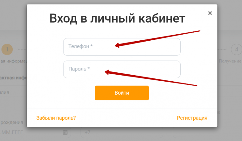 Вход в личный кабинет АлиЗайм по номеру телефона Вход в личный кабинет АлиЗайм по номеру телефона