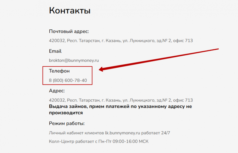 Телефон горячей линии Bunny Money