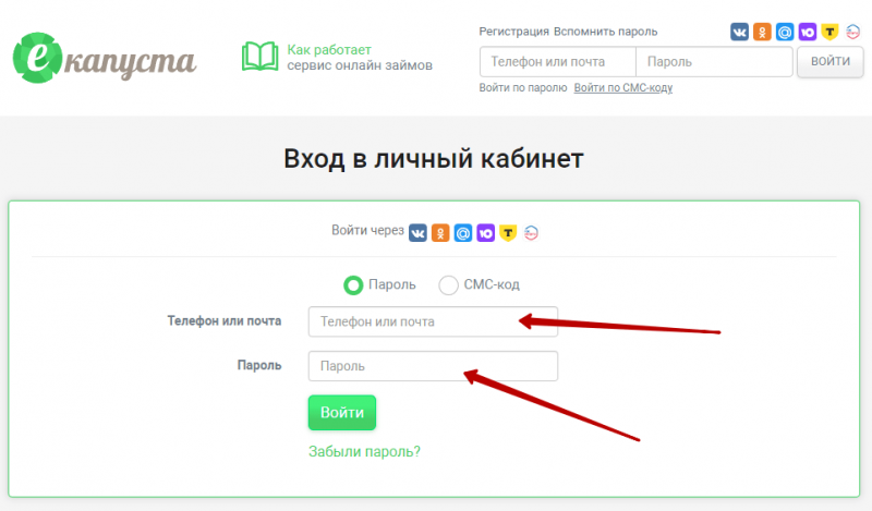 Вход в личный кабинет еКапуста по номеру телефона Вход в личный кабинет еКапуста по номеру телефона